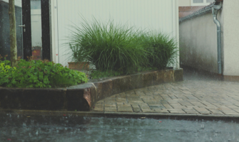 a rainy Colorado day